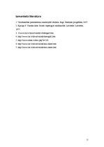 Referāts 'Ideogrāfiskā rakstība', 11.