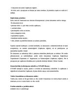 Konspekts 'Starptautiskās komerctiesības - Luksemburga', 3.