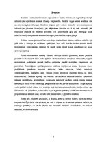 Referāts 'Reklāma kā objekta tēls', 3.