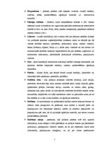 Referāts 'Reklāma kā objekta tēls', 5.