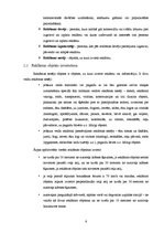 Referāts 'Reklāma kā objekta tēls', 6.