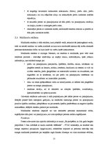 Referāts 'Reklāma kā objekta tēls', 13.