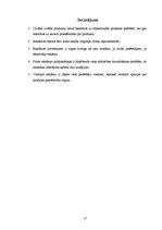 Referāts 'Reklāma kā objekta tēls', 17.