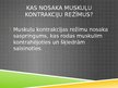 Prezentācija 'Muskuļu kontrakciju veidi', 3.