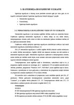 Prakses atskaite 'Prakses pārskats SIA "X"', 11.