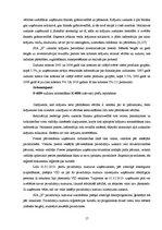 Prakses atskaite 'Prakses pārskats SIA "X"', 17.