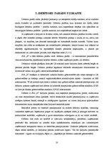 Prakses atskaite 'Prakses pārskats SIA "X"', 20.