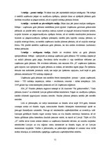 Prakses atskaite 'Prakses pārskats SIA "X"', 31.