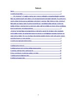 Referāts 'Iekšējais audits SIA "Hotelious"', 2.