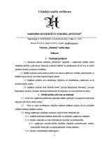 Referāts 'Iekšējais audits SIA "Hotelious"', 5.