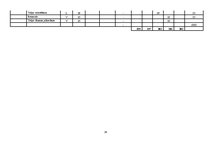 Referāts 'Iekšējais audits SIA "Hotelious"', 19.