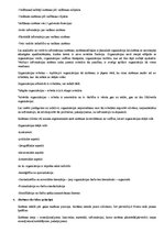 Konspekts 'Kontroljautājumi vadības teorijā', 2.