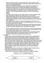 Konspekts 'Kontroljautājumi vadības teorijā', 9.