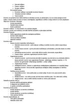 Konspekts 'Kontroljautājumi vadības teorijā', 19.