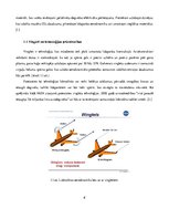 Referāts 'Mūsdienu aviācijas attīstība un ietekme uz vidi', 6.
