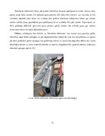 Referāts 'Mūsdienu aviācijas attīstība un ietekme uz vidi', 12.