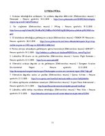 Referāts 'Mūsdienu aviācijas attīstība un ietekme uz vidi', 13.