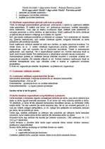 Konspekts 'Jautājumi bakalaura darba aizstāvēšanā', 13.