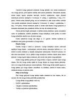 Referāts 'Līzings, tā veidi', 3.