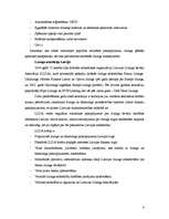 Referāts 'Līzings, tā veidi', 4.