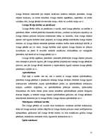 Referāts 'Līzings, tā veidi', 10.