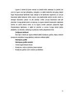 Referāts 'Līzings, tā veidi', 12.