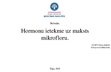Prezentācija 'Hormonu ietekme uz maksts mikrofloru', 1.