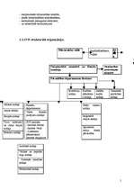 Konspekts 'Starptautiskā Valūtas fonda darbības analīze Latvijā', 5.