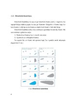 Referāts 'Datizrace un zināšanu atklāšana', 6.