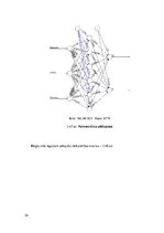 Referāts 'Datizrace un zināšanu atklāšana', 54.