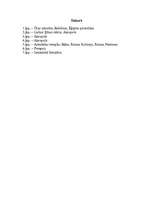 Referāts 'Ūras zikurāts', 1.