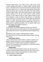 Prakses atskaite 'Prakse SEB bankā', 5.