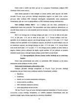 Prakses atskaite 'Prakse SEB bankā', 13.