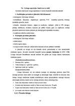 Prakses atskaite 'Prakse SEB bankā', 43.