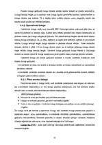 Prakses atskaite 'Prakse SEB bankā', 44.