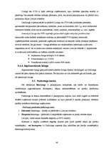 Prakses atskaite 'Prakse SEB bankā', 45.