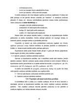 Prakses atskaite 'Prakse SEB bankā', 48.