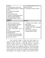 Konspekts 'SVID analīzes nepieciešamība mārketinga plāna izstrādē', 4.