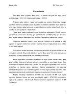 Biznesa plāns 'Suņu viesnīca “Ķepu zeme”', 3.