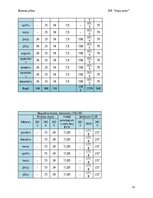 Biznesa plāns 'Suņu viesnīca “Ķepu zeme”', 11.