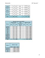 Biznesa plāns 'Suņu viesnīca “Ķepu zeme”', 12.