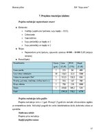 Biznesa plāns 'Suņu viesnīca “Ķepu zeme”', 17.