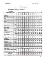 Biznesa plāns 'Suņu viesnīca “Ķepu zeme”', 20.