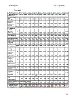 Biznesa plāns 'Suņu viesnīca “Ķepu zeme”', 21.