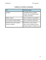 Biznesa plāns 'Suņu viesnīca “Ķepu zeme”', 23.