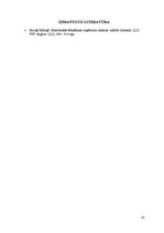 Prakses atskaite 'Kafejnīcas "Mielasts" tehnoloģiskais projekts', 41.