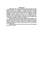 Referāts 'Iekšdedzes dzinējs', 8.