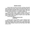 Referāts 'Iekšdedzes dzinējs', 9.