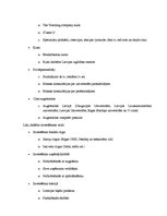 Referāts 'Rīgas Tehniskās universitātes konkurences analīze', 4.