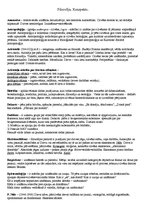 Konspekts 'Konspekts filosofijas eksāmenam', 1.